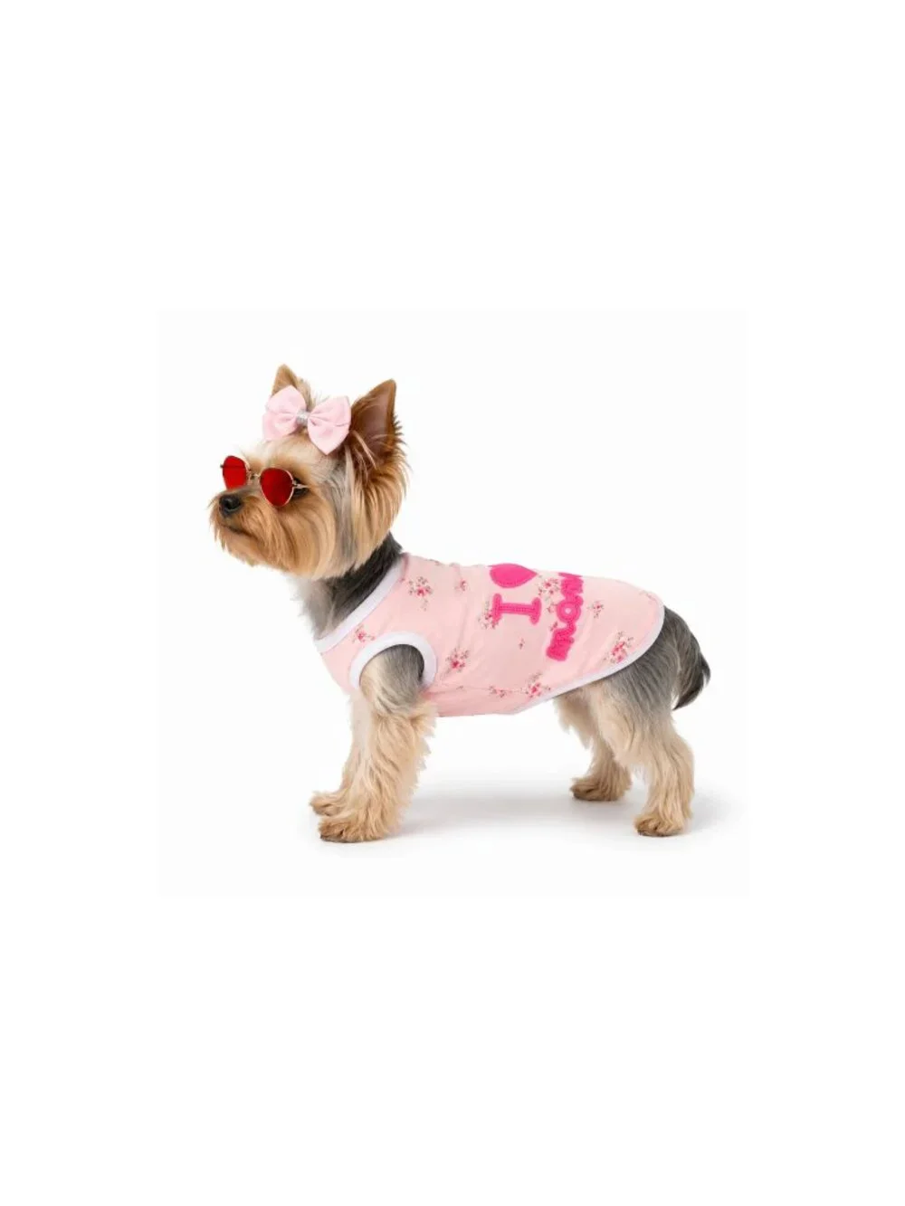 Princess Dog Outfit Gift Set with Tutu, Bow & Sunglasses – Size M